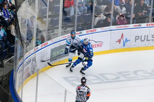 BTL – Dresden, 19. 2. 2026