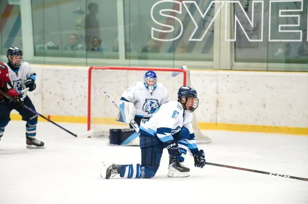 U17: BTL – Sparta Praha, 29. 3. 2026