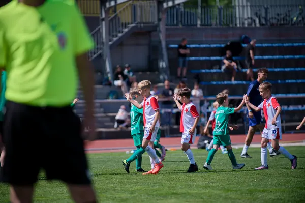 JUNIOR NORTH CUP MICRO 2026, 6. 6. 2026