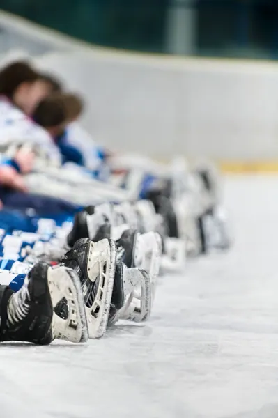 U15: BTL – Konec sezony, 1. 4. 2026