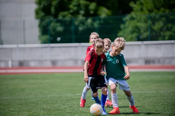 JUNIOR NORTH CUP MICRO 2026, 6. 6. 2026