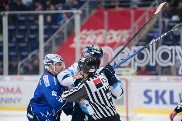 BTL – Dresden, 19. 2. 2026
