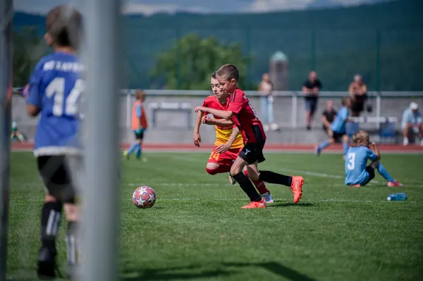 JUNIOR NORTH CUP MICRO 2026, 6. 6. 2026