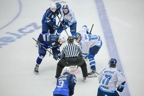 U20: BTL – Plzeň, 22. 11. 2025