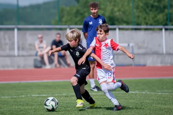 JUNIOR NORTH CUP MICRO 2026, 6. 6. 2026