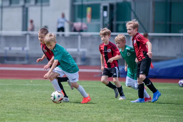 JUNIOR NORTH CUP MICRO 2026, 6. 6. 2026