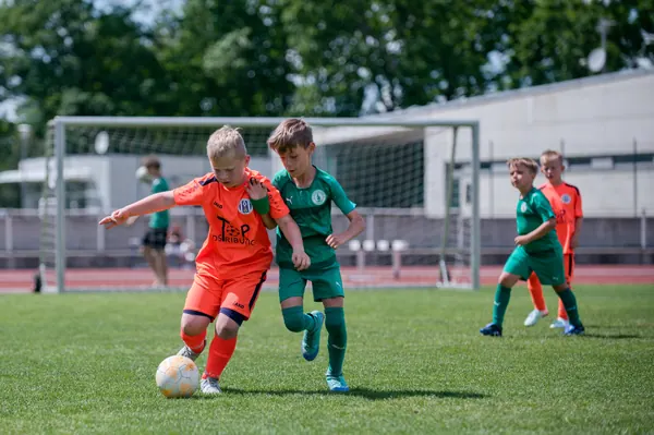 JUNIOR NORTH CUP MICRO 2026, 6. 6. 2026