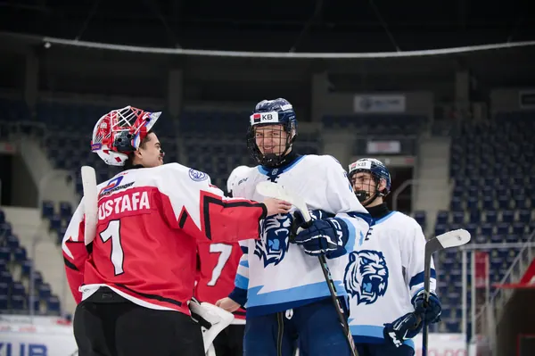 U20: BTL – Pardubice, 24. 1. 2026
