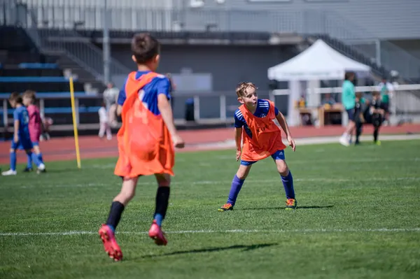 JUNIOR NORTH CUP MICRO 2026, 6. 6. 2026