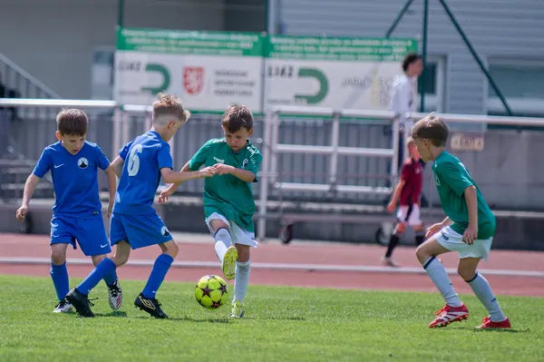 JUNIOR NORTH CUP MICRO 2026, 6. 6. 2026