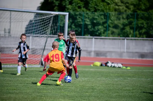 JUNIOR NORTH CUP MICRO 2026, 6. 6. 2026