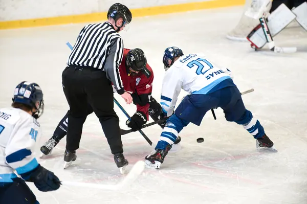 U17: BTL – Sparta Praha, 29. 3. 2026