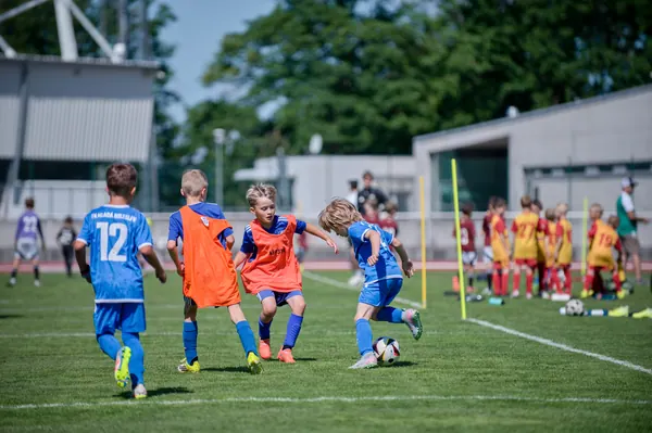 JUNIOR NORTH CUP MICRO 2026, 6. 6. 2026