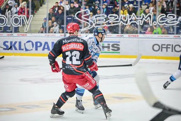 BTL – Hradec Králové, 23. 11. 2025