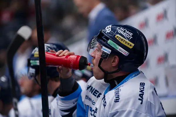 BTL – Dresden, 19. 2. 2026