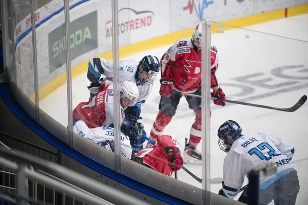 U20: BTL – Pardubice, 24. 1. 2026