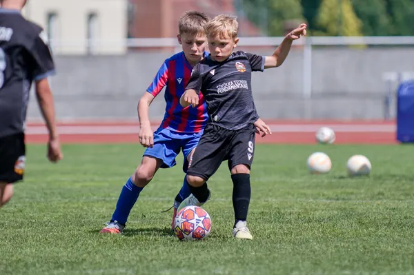 JUNIOR NORTH CUP MICRO 2026, 6. 6. 2026