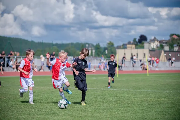 JUNIOR NORTH CUP MICRO 2026, 6. 6. 2026