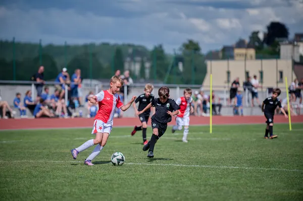 JUNIOR NORTH CUP MICRO 2026, 6. 6. 2026
