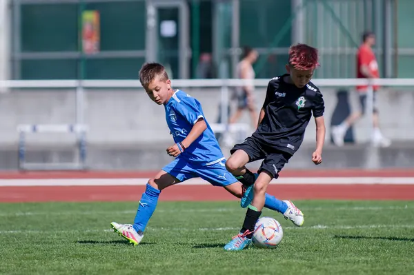 JUNIOR NORTH CUP MICRO 2026, 6. 6. 2026