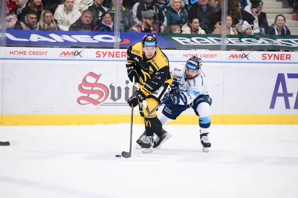 BTL – Litvínov, 18. 1. 2026