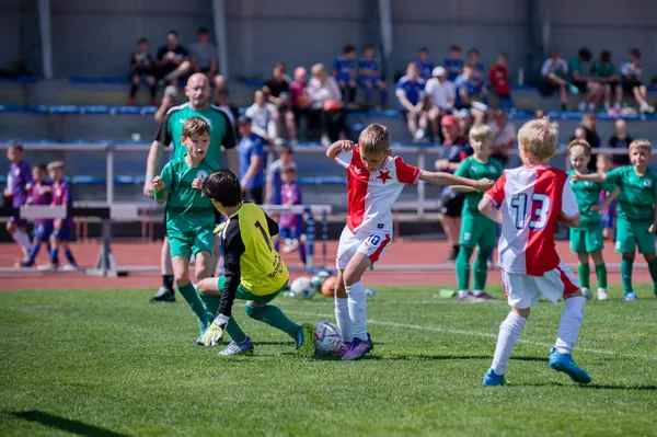 JUNIOR NORTH CUP MICRO 2026, 6. 6. 2026