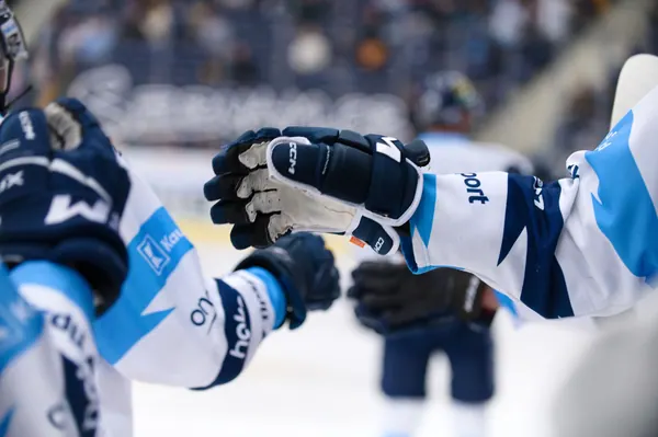 BTL – Dresden, 19. 2. 2026