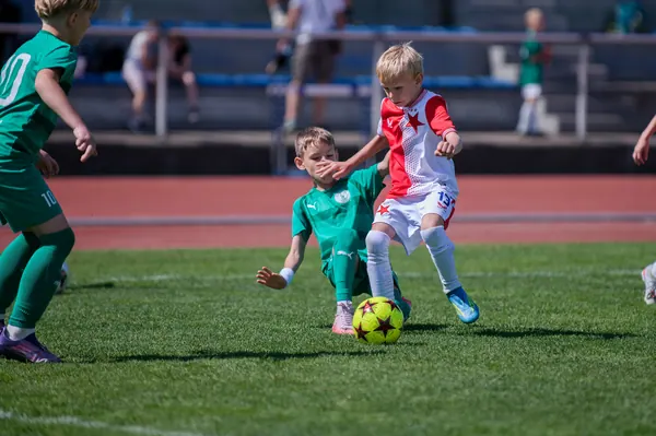 JUNIOR NORTH CUP MICRO 2026, 6. 6. 2026