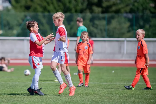 JUNIOR NORTH CUP MICRO 2026, 6. 6. 2026
