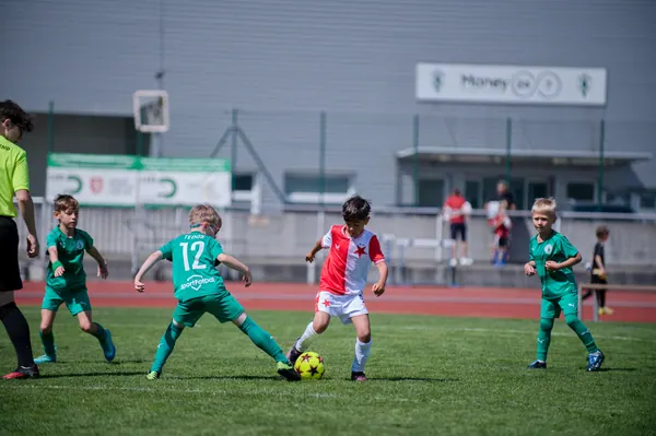 JUNIOR NORTH CUP MICRO 2026, 6. 6. 2026