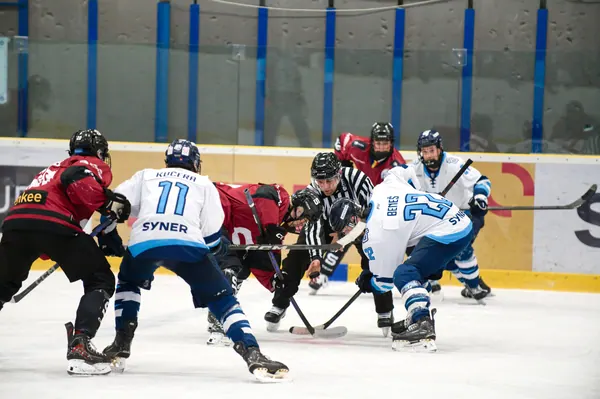 U17: BTL – Sparta Praha, 29. 3. 2026