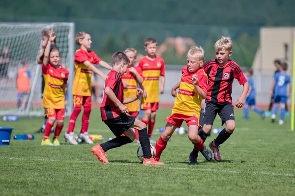 JUNIOR NORTH CUP MICRO 2026, 6. 6. 2026