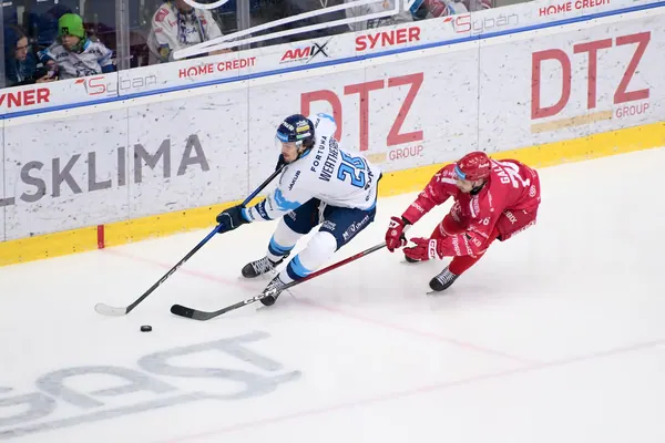 BTL – Třinec, 16. 1. 2026