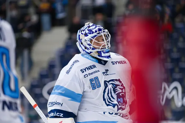 BTL – Dresden, 19. 2. 2026