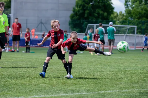 JUNIOR NORTH CUP MICRO 2026, 6. 6. 2026