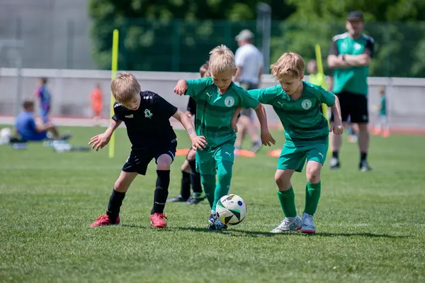 JUNIOR NORTH CUP MICRO 2026, 6. 6. 2026