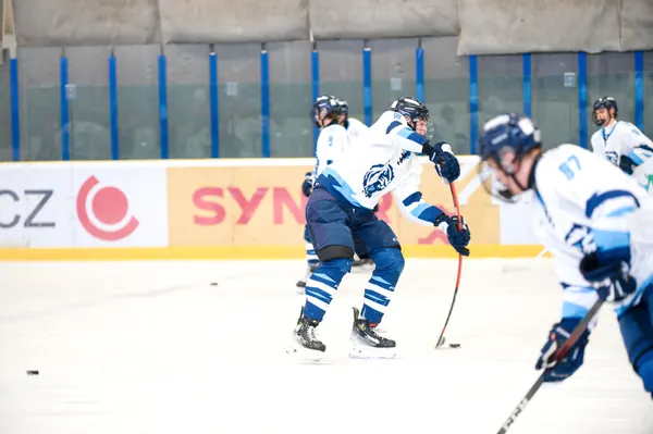 U17: BTL – Sparta Praha, 29. 3. 2026