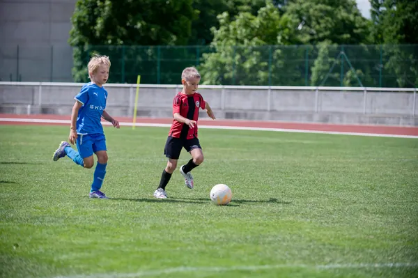 JUNIOR NORTH CUP MICRO 2026, 6. 6. 2026