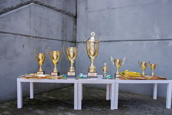 JUNIOR NORTH CUP MICRO 2026, 6. 6. 2026