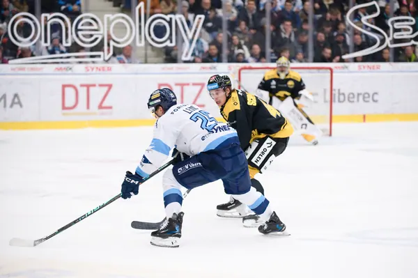 BTL – Litvínov, 18. 1. 2026
