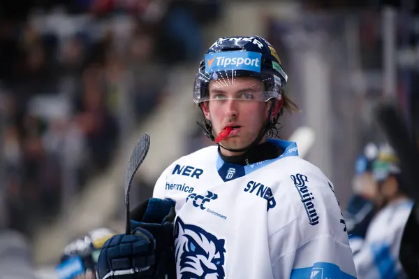 BTL – Mladá Boleslav, 30. 12. 2025