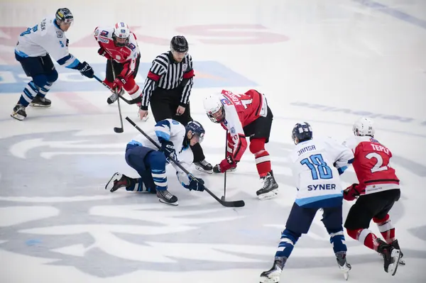 U20: BTL – Pardubice, 24. 1. 2026