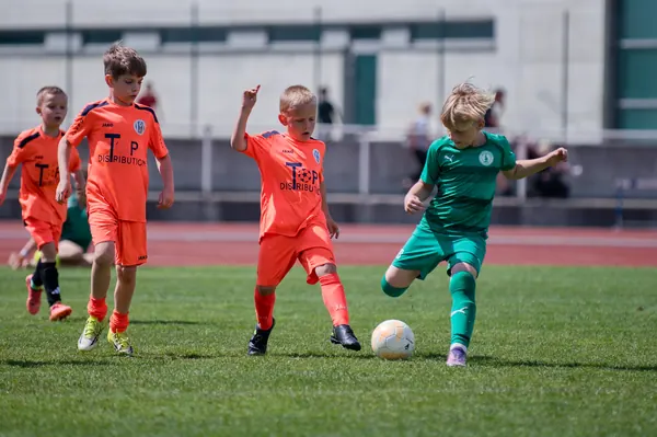 JUNIOR NORTH CUP MICRO 2026, 6. 6. 2026
