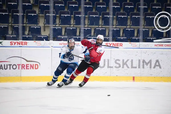 U20: BTL – Pardubice, 24. 1. 2026