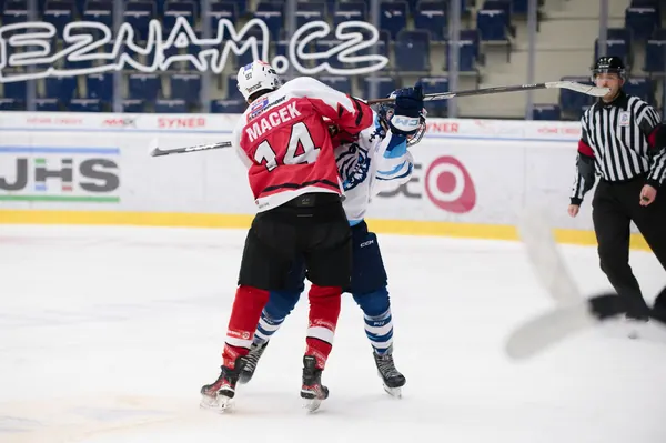 U20: BTL – Pardubice, 24. 1. 2026