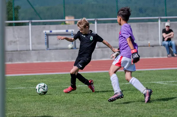 JUNIOR NORTH CUP MICRO 2026, 6. 6. 2026