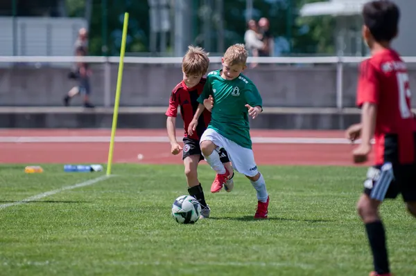 JUNIOR NORTH CUP MICRO 2026, 6. 6. 2026