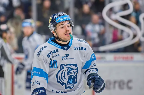BTL – Hradec Králové, 23. 11. 2025