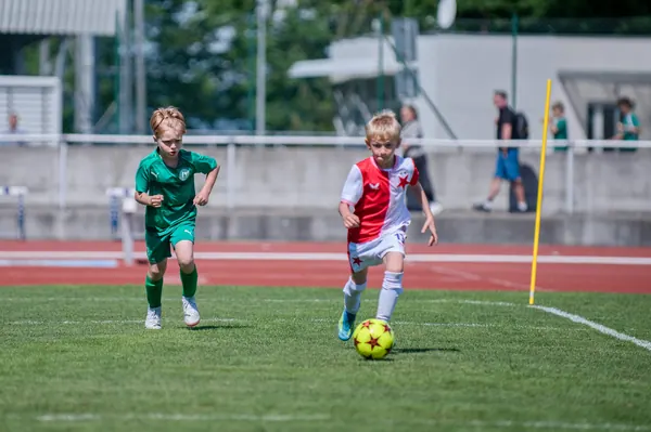 JUNIOR NORTH CUP MICRO 2026, 6. 6. 2026