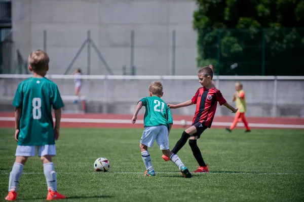 JUNIOR NORTH CUP MICRO 2026, 6. 6. 2026
